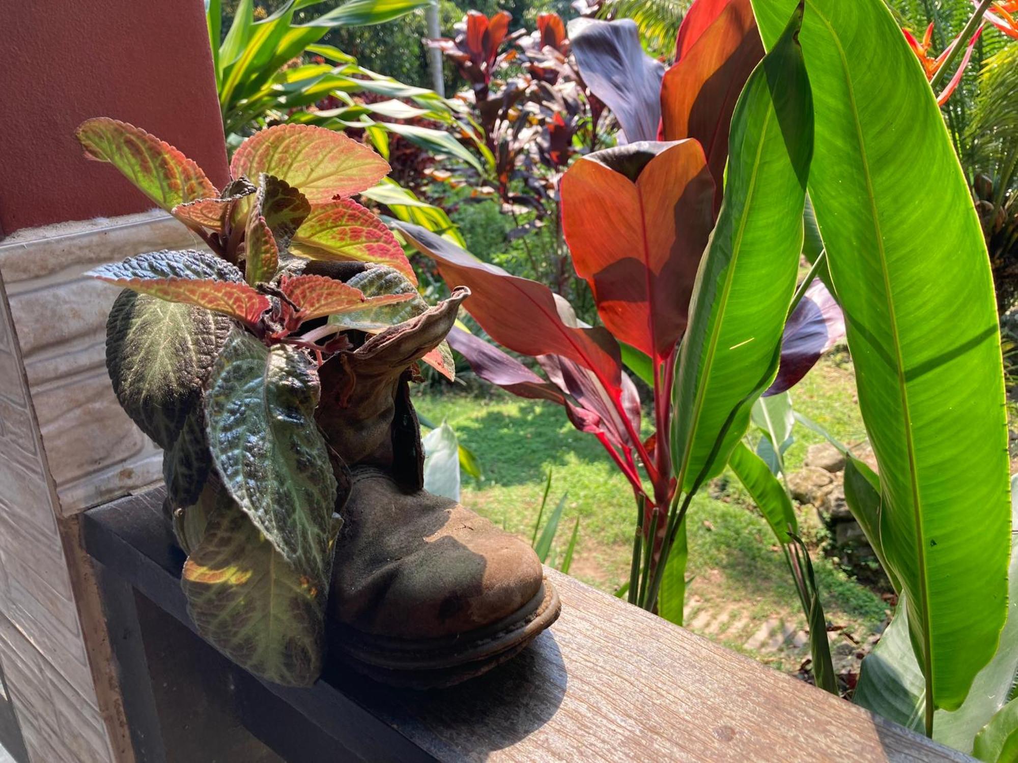 Casa Arariba - Ilha Grande - Abraão Exteriér fotografie