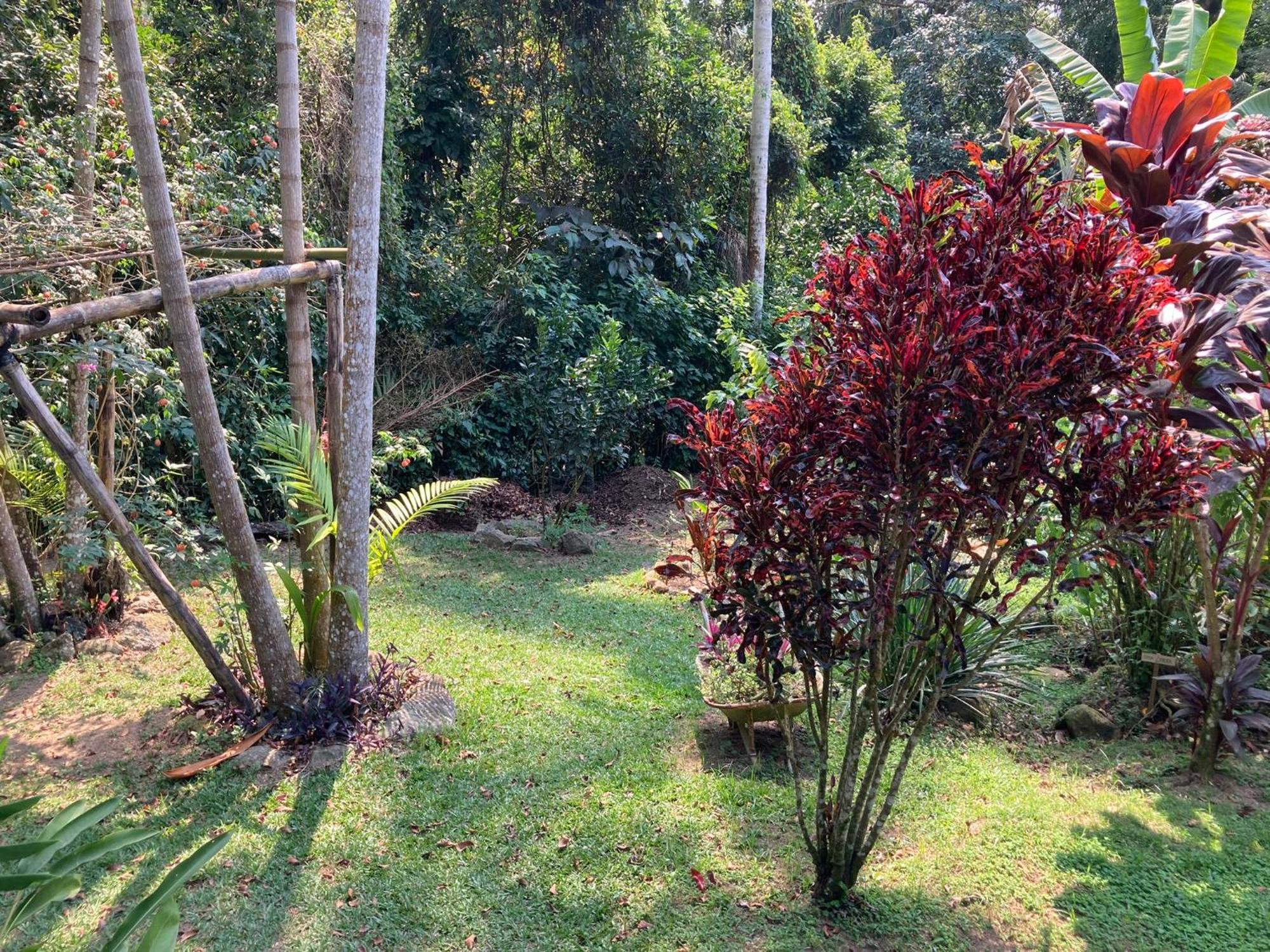 Casa Arariba - Ilha Grande - Abraão Exteriér fotografie